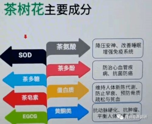海外上市隱憂與行業變動 亞茶控股、合益全息對中農綠源及日用百貨銷售的影響分析