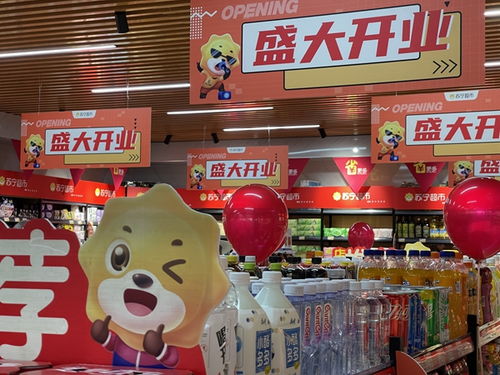 家樂福零售云華西區首家加盟店亮相昆明，加速布局針紡織品市場