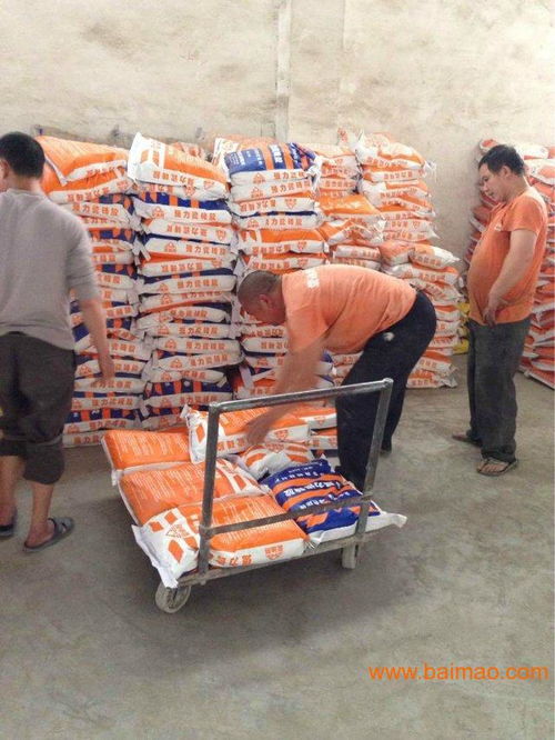 廣州愛迪斯 廠價(jià)直銷強(qiáng)力瓷磚膠，打造家居裝修堅(jiān)固基石