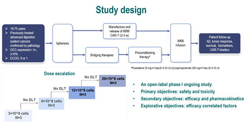 2023 ESMO 結(jié)直腸癌CAR-T及新輔助雙免治療新突破，為患者點(diǎn)燃新希望