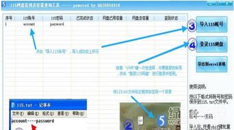 115網盤簽到及容量查詢工具 v1.1 提升網盤管理效率的必備助手